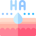 Hyaluronic Acid