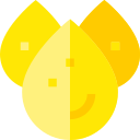 Ceramides